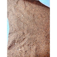 Conbo 5kg of Cinnamon Humus used for burning rivers and making incense