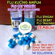 Flu Kucing Ampuh Paten Flu care Kucing Flu Paten Flu Cat Virus Bakteri Kucing