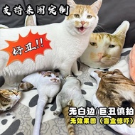 Portrait Pillow Alien Shape No White Border Ugly Cat Puppy Doll Pictures Real Anime Comics Tricky
