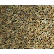 Fennel seeds greenish brown in color 6 to 8 mm