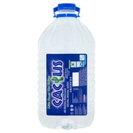 cactus Mineral water 5.5 Liter