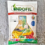 INDOFIL 800 WP (1 KILO) MANCOZEB BLUE FUNGICIDE by INDOFIL