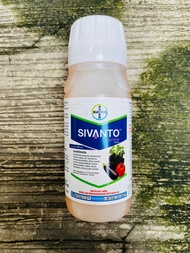 Insektisida SIVANTO PRIME 200SL BAYER