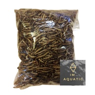 Freeze Dried Mealworm for Arowana, Hamster, Reptiles