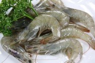 【冷凍蝦蟹類】活凍白蝦(40/50) / 約850g / 盒~殼薄新鮮~肉嫩味美~鮮甜便宜又好吃~