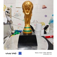 FIFA World Cup. 17cm