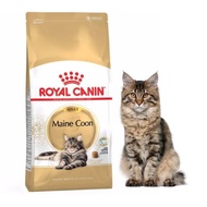 Royal Canin Maine Coon Adult 4kg Royal Canin Maine Coon Adult