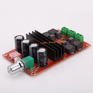 Class D 2.0 TPA3116D2 Audio Amplifier Circuit - 2X100W