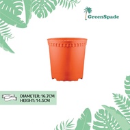 [Buy More, Save More] Green Spade - Pots - BABA RD-170 (Cotta)