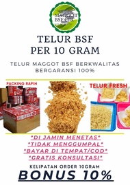 telur bsf super per 10 gram telur maggot bsf termurah berkwalitas