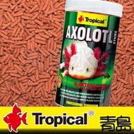 Q。青島。U-T11614波蘭Tropical德比克---六角恐龍.兩棲.角蛙.底棲魚長條飼料==250ml