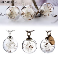 HILDARJFGH Dandelion Wishing Necklace Fashion Chain  Dandelion