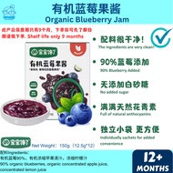 Baby Jam BabyChan Organic Blueberry Jam 12m+Baby Glutton Organic Blueberry Jam/Blueberry Jam No Whit