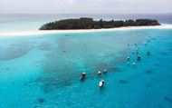 Petualangan Setengah Hari Melihat Lumba-lumba dan Snorkeling di Pulau Mnemba, Zanzibar
