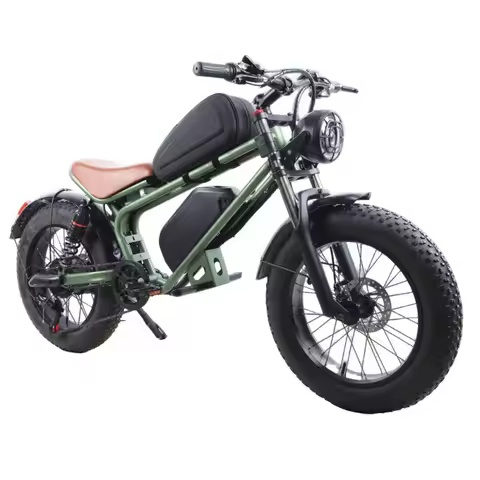 Electric Bicycle Lithium Battery Fat Tire 20 Inch Modified Double Shock Absorber Hydraulic