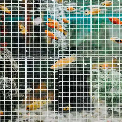 10 Pcs Isolation Mesh Board Fish Tank Bottom Plate Aquarium Divider Accessories Plastic Separator Ba