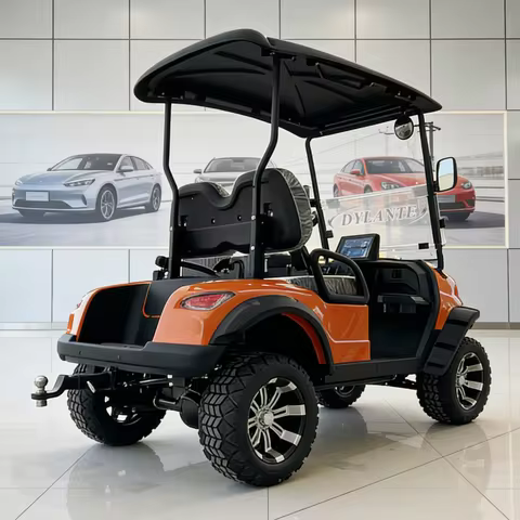 China Manufacturer Off Road Golf Cart Sport Motorized Modified Utility 2 4 Seat Fast Speed Buggy Gok