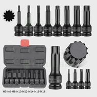 Torx Bit Socket 1/2" Drive Star Bit 12 Point MM Spline M5 M6 M8 M10 M12 M14 M16 M18 Chrome Vanadium 