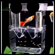 Aquarium Double-Layer Fish Breeding Isolation Box