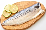 【凍凍鮮】 【免運】挪威薄鹽鯖魚片 240g (特大)*10入組