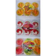AYOYO MANGGO, LYCHEE & MIX FRUITS PUDDING (6X120G)