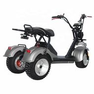 US/EU warehouse Electric tricycles 3 wheel electric cargo bike cargo tricycle e tricycle bike for ad