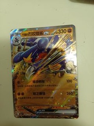 寶可夢 Pokémon 卡 RR 烈咬陸鯊 EX