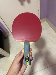 DHS Hurricane 5 ma long bat with tenergy 05 and 05fx