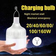 1pc Portable Camping Floodlight, Multi-Functional Rechargeable LED Bulb, Adjustable Brightness 20W/4