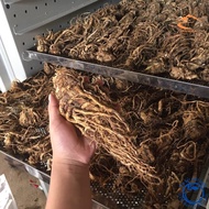 Sâm đương quy khô loại 1 sấy lạnh từ đương quy tươi giữ nguyên dược tính dược liệu quý đương quy xuy