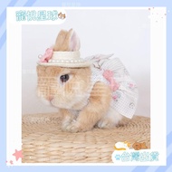 [Pet Planet]⭐Taiwan Shipment⭐Romantic Rose Clothes Bunny Outing Clothes Cute Bunny Pet Princess Dres