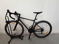 Giant SCR 1 (2024) S size