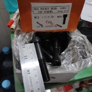 L M12x70 steel bolt grade 12.9 pitch thread 1.75 uses 10mm L key 12.9 L steel bolt/ 12.9 m12 x 70 mm