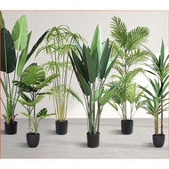 ⭐️ Premium Artificial Plant / Pokok Hiasan Premium / Pokok Hiasan Viral‼️ ⭐️