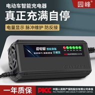 Chaowei Tianneng Battery Electric Vehicle Battery Charger 48v60v20a72v Automatic Shutdown