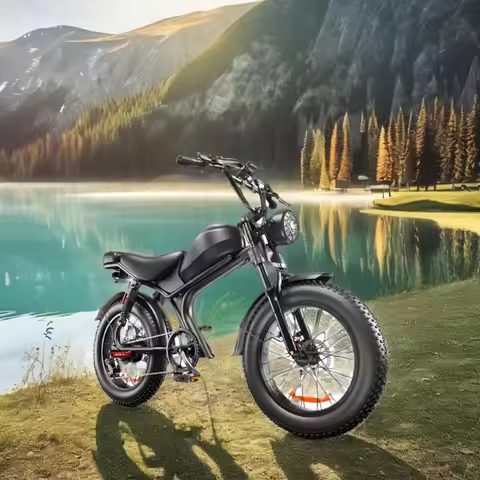 C93 Fat Tire Electric Bicycle 1000W Motor 60KM/H Range 48V 20AH 25KM/H Pro Mountain Electric Bicycle