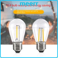 MEERR Vintage Bulb Incandescent 1W 2W Bulbs E27