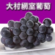 【台灣紅】 大村溫室套袋葡萄(4斤±10%/盒)1盒
