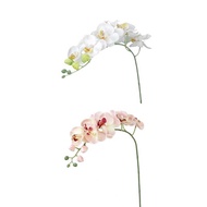 2pcs Artificial Butterfly Orchid Flower Plant Home Decoration Wedding Flower Orchid Floral Christmas