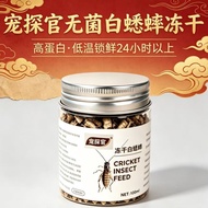 White Cricket Freeze-Dried Honey Glider Hamster Snacks Gecko Food Lizard Climbing Pet Feed uuu5.28
