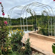 She Scaffolding Rattan Climbing Rack Shelf Decoration Iron Flower Rack Outdoor Garden Arch Flower Ra