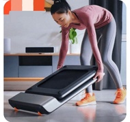Walkingpad A1 Pro 可摺疊跑步機