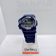 G-shock DW-9902 DW9902 Frogman rare collaboration WCCS