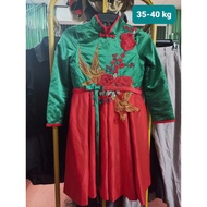 Antique princess dress 35-40 kg MS35