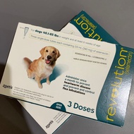 Revolution dog / dog 401 - 85 lbs 1 Tube