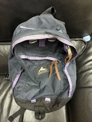 Gregory 美國製紫色背包