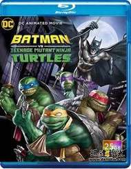 LZ-12316蝙蝠俠大戰忍者神龜 Batman Vs. Teenage Mutant Ninja Turtles (2 