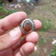 MERAH Red star 6 jalak jesper star footprint ringnatural