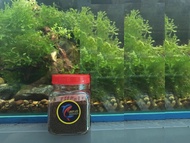 Cám HIKARI nâu - thức ăn Hikari nâu cao cấp giúp tăng size cá cầu vồng cá vàng Koi cá đĩa pleco.. - 