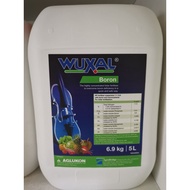 (5L/6.9kg) Baja air boron Wuxal Boron Agrobridge